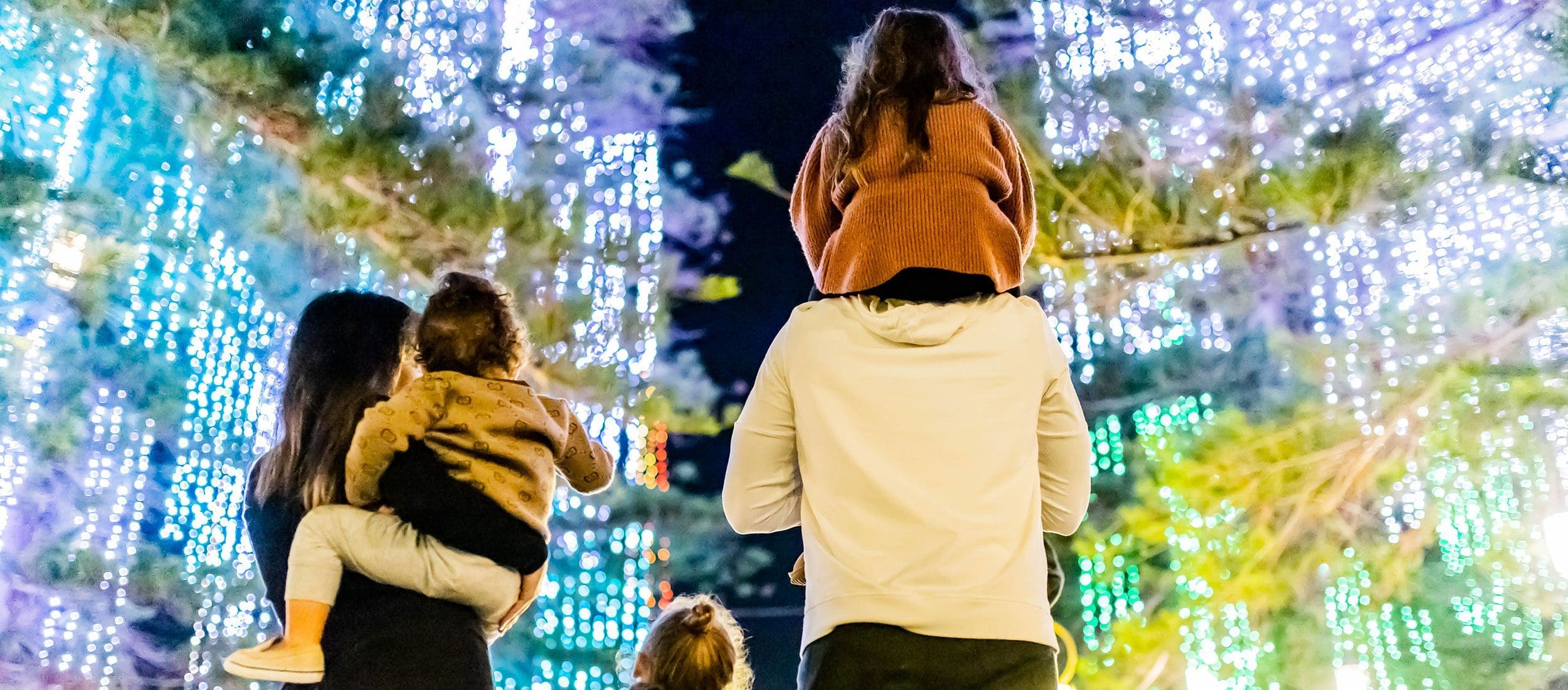 Family at Holiday Light Show