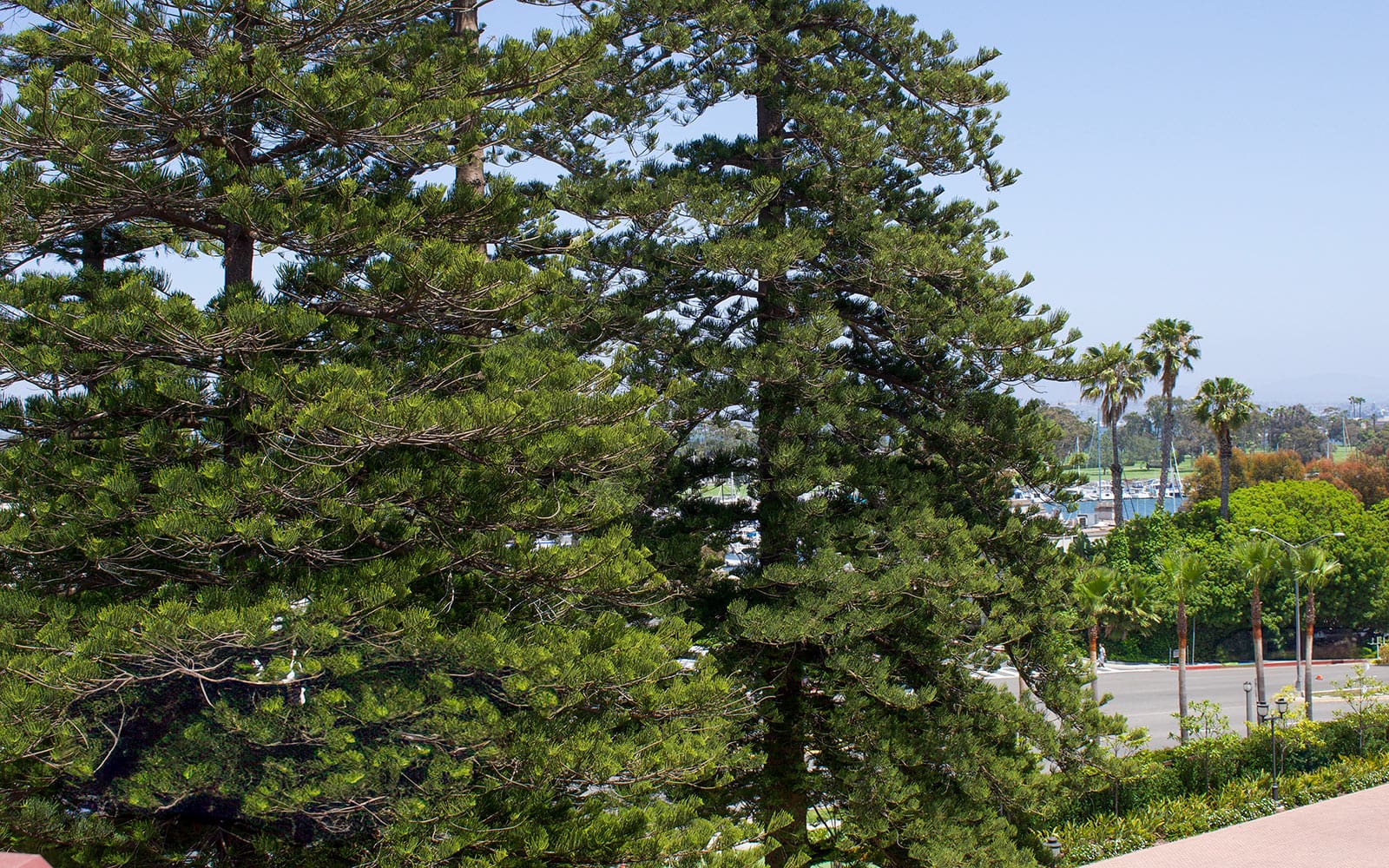 Victorian Resort View – Mobility Accessible with Tub